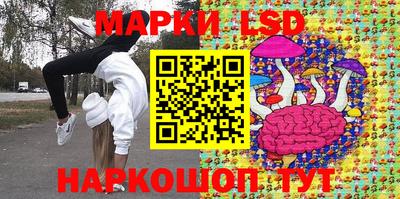 индика Ставрополь