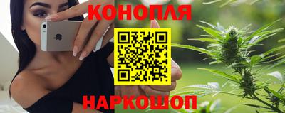 индика Ставрополь