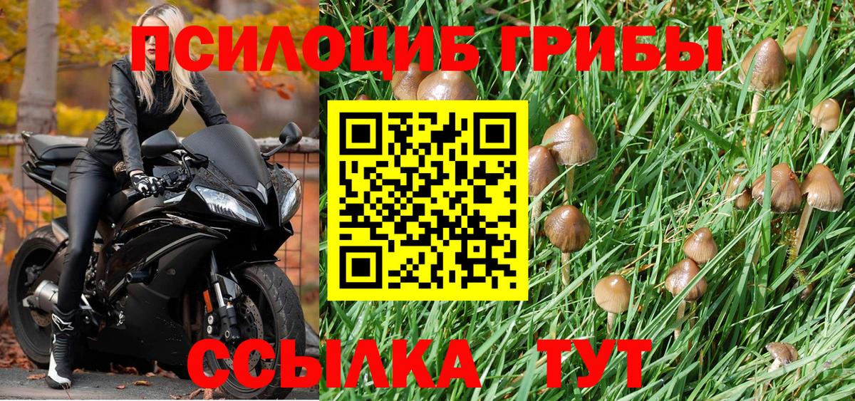 Псилоцибиновые грибы Magic Shrooms  Псилоцибиновые грибы GOLDEN TEACHER  Вход с VPN  Моздок 