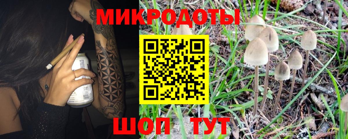 Псилоцибиновые грибы мицелий Моздок